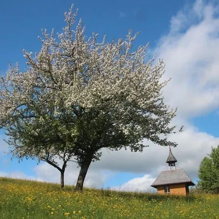 Gaestehaus Holzer Kreuz - 