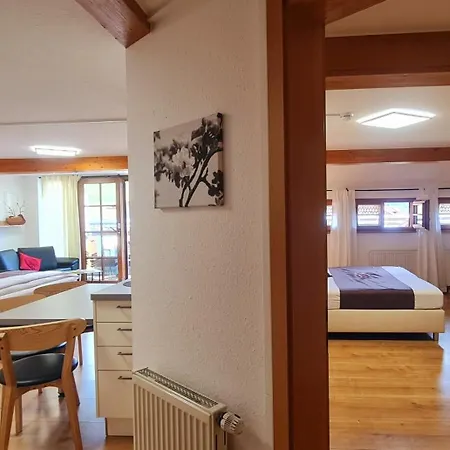 Apartment Gaestehaus Holzer Kreuz - 