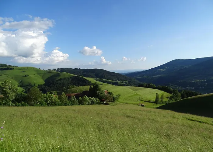 Апартаменты Gaestehaus Holzer Kreuz - 